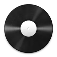A black vinyl record